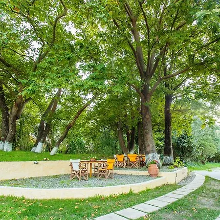 Billy's House Vasiliki